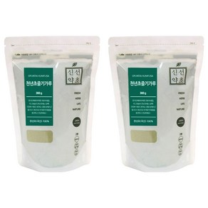 신선약초 천년초줄기가루, 2개, 300g
