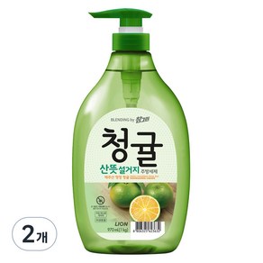 참그린 청귤 산뜻 설거지 주방세제, 970ml, 2개