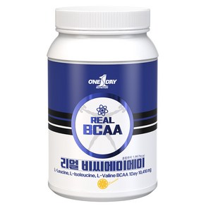 원데이뉴트리션 리얼 BCAA, 1개, 500g