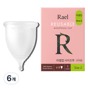 Rael 라엘컵 생리컵, 6개, 1개입, 대형