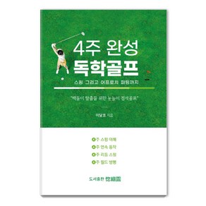 4주 완성 독학골프:스윙 그리고 어프로치 퍼팅까지, 이달호, 홀인원