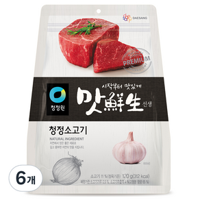 맛선생 청정 소고기, 120g, 6개