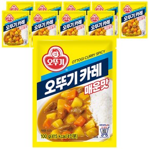 오뚜기 카레 과립형 매운맛, 100g, 10개