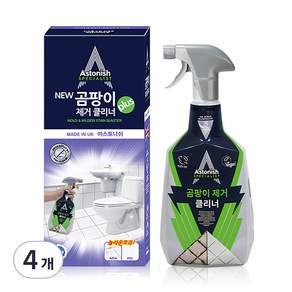 아스토니쉬 NEW 곰팡이 제거 클리너 plus, 750ml, 4개