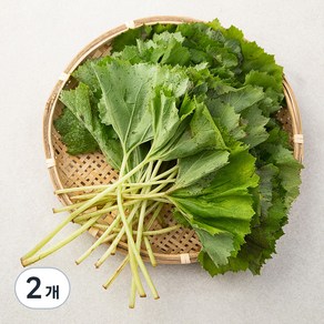 국내산 머위잎, 200g, 2개