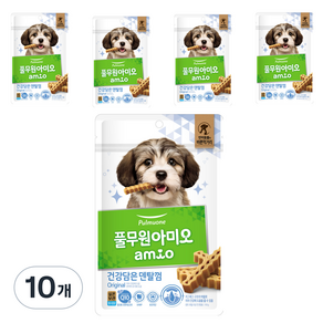 풀무원아미오 건강담은 간식 덴탈껌, 오리지널, 100g, 10개