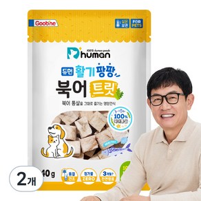 듀먼 반려동물 활기팡팡 트릿, 북어, 40g, 2개