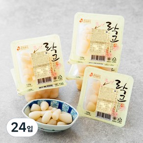 주비푸드 오이시 락교, 120g, 24입