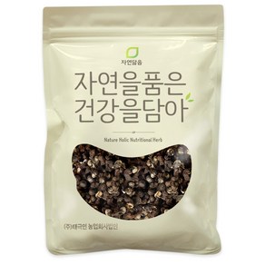 자연닮음 헛개나무 열매, 300g, 1개