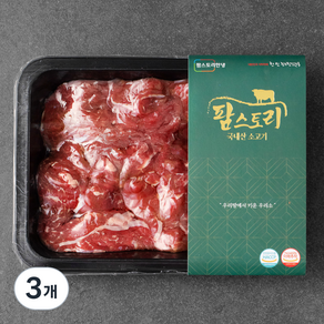 팜스토리 국내산 소고기 불고기용 (냉장), 300g, 3개