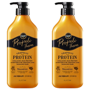 엘라스틴 프로폴리테라 손상 모발용 샴푸, 500ml, 2개