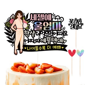 비비드레인 생신 케이크 토퍼 세트