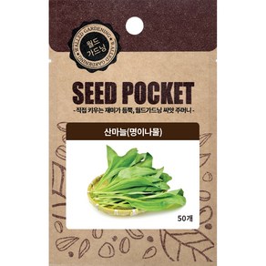 월드가드닝 명이나물씨 50p, 1개