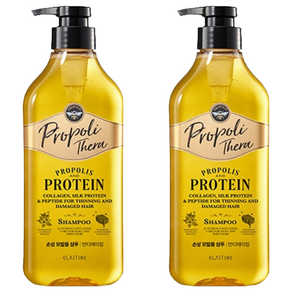 엘라스틴 프로폴리테라 힘없는 모발용 샴푸, 500ml, 2개