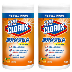 크로락스 세정살균티슈 오렌지 퓨전 75매, 2개