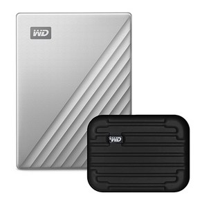 WD My Passpot Ulta Type C 휴대용 외장하드 + 파우치, 4TB, 실버