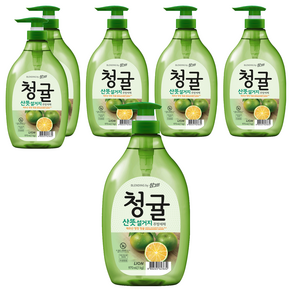 참그린 청귤 산뜻 설거지 주방세제, 970ml, 6개