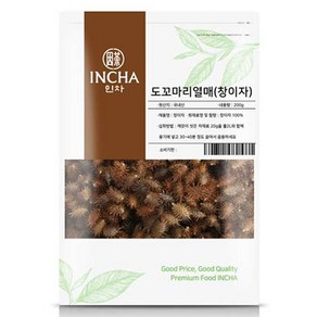 인차 도꼬마리열매 창이자, 200g, 1개