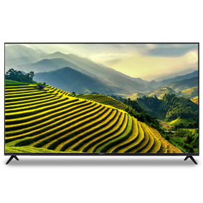 와이드뷰 4K UHD LED TV, 165cm(65인치), WVH650UHD-E01, 벽걸이형, 방문설치