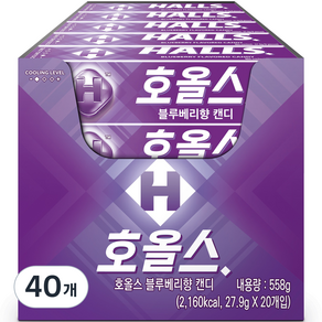 호올스 블루베리향 캔디, 27.9g, 40개