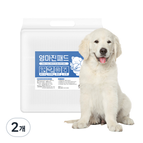 영마진 강아지 배변패드 플러스 35g 베이비파우더향, 플러스 M(53 x 43 cm), 120개입, 2개