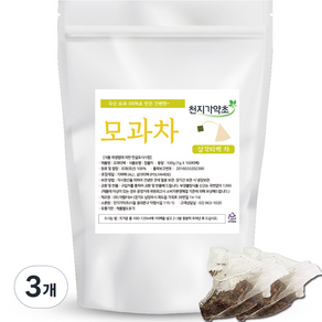 천지가약초 모과차 삼각티백, 1g, 100개입, 3개