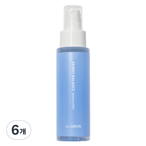 더샘 스키니 밸런스 수분 미스트, 6개, 75ml