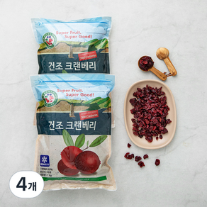 건조 크랜베리