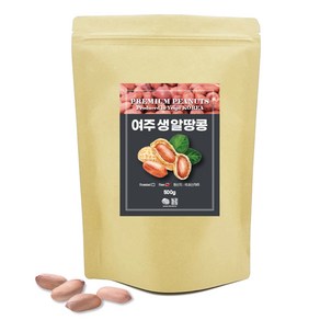 견과공장 생 알땅콩, 500g, 1개