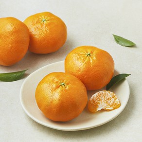 블랙홀 당도선별 레드향, 1개, 800g(소과, 3~5입)