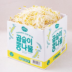 맑은물에 곱슬이 콩나물