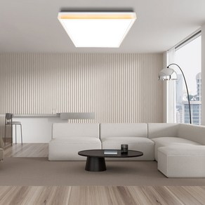 데이온 원하 LED 120W 플리커프리 DO 리츠 거실 조명 천장등, 화이트 + 주광색