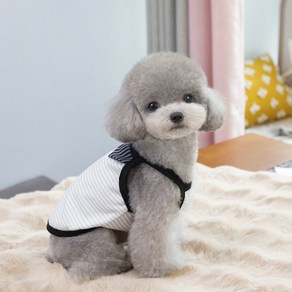 파스텔펫 강아지 카라 포인트 민소매티, 화이트, 1개