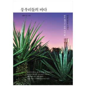 뭉우리돌의 바다:국외독립운동 이야기-인도 멕시코 쿠바 미국 편, 수오서재, 김동우