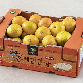 해풍맞은 올레길 Ai 당도선별 12bix 감귤 로열과, 2kg(로열과), 1개