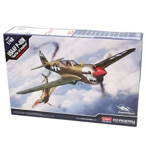 1:48 미육군항공대 P-40N 임팔전투 12341