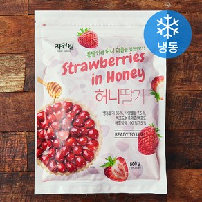 자연원 허니 딸기 (냉동), 500g, 1개