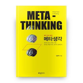 메타생각(Meta-Thinking):생각의 2중 스캐닝