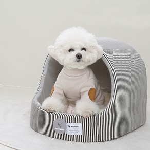 개과천선 강아지 투엘 동글이 하우스, 그레이