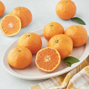 귤탐 고당도 13.5bix 카라향, 1kg(소과, 7~16입), 1개