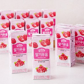 자연드림 딸기우유, 190ml, 24개