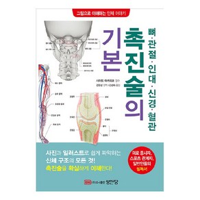 뼈 관절 인대 신경 혈관 촉진술의 기본