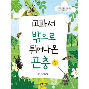 교과서 밖으로 튀어나온 곤충 완전 탈바꿈을 하는 곤충, 지성사, 1권