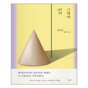 백의 그림자:황정은 장편소설