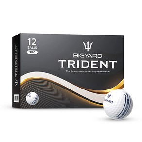 빅야드 TRIDENT 골프공 3피스 42.7 mm