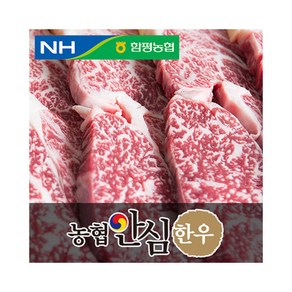 농협안심한우 등심, 1개입, 500g 구이용(2등급)