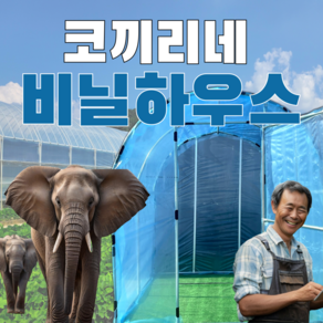 코끼리네 조립식 비닐하우스 강화형 온실 자재 미니 소형 대형 창고 농업용 농막, 1개, 폭(3m)*길이(3m)*높이(2m)