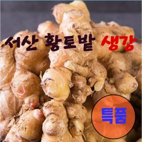 서산 황토밭 생강(특품) 2024년 햇생강, 1박스, 1kg