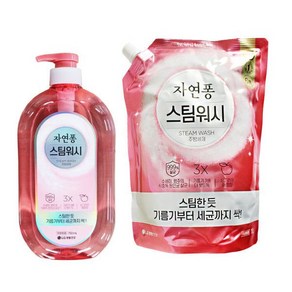 엘지 자연퐁 스팀워시 주방세제 애플향 용기 1 리필, 1개, 750ml