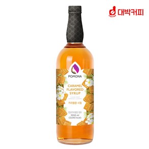 (증정범용시럽펌프3.5cc)포모나 카라멜 시럽 1000ml 증정품 : 범용 시럽펌프 3.5ml 1개, 1L